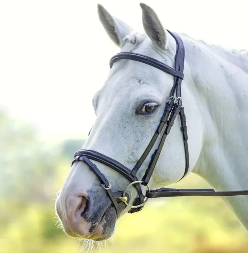 Velociti Padded Raised Flash Bridle Havana